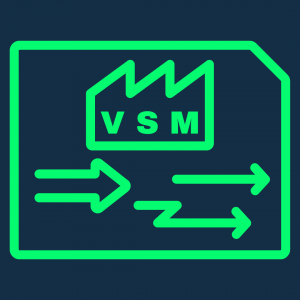 Value Stream Mapping (VSM)